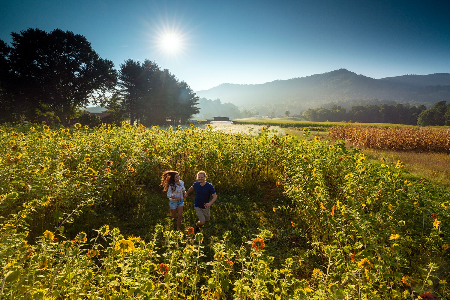 Say Hay Now to North Carolinas Appalachian Gem 